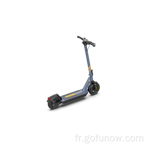 Nouveau scooter électrique pour adulte 350W 36V